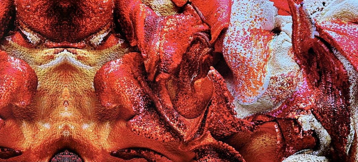 El arte impulsado por la IA exhibe el «ecologismo digital» en la sede de la ONU